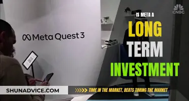 Meta: A Long-Term Investment Strategy or a Short-Lived Trend?