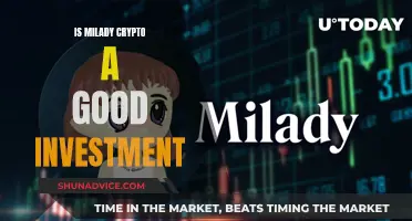 Milady Crypto: A Worthy Investment?