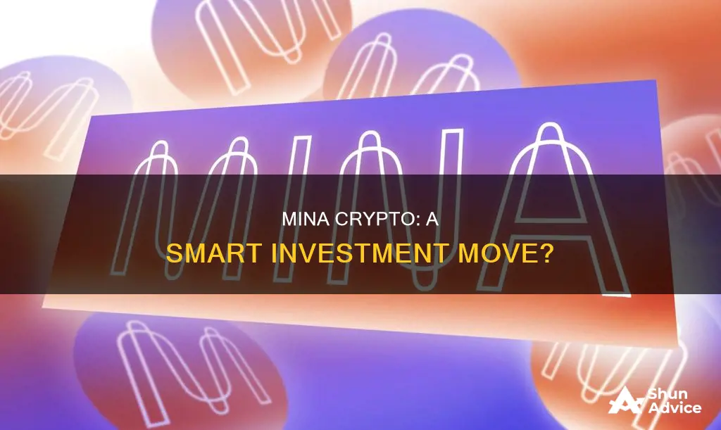 is mina crypto a good investment