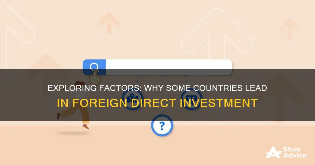 is more likely to engage in foreign direct investment and