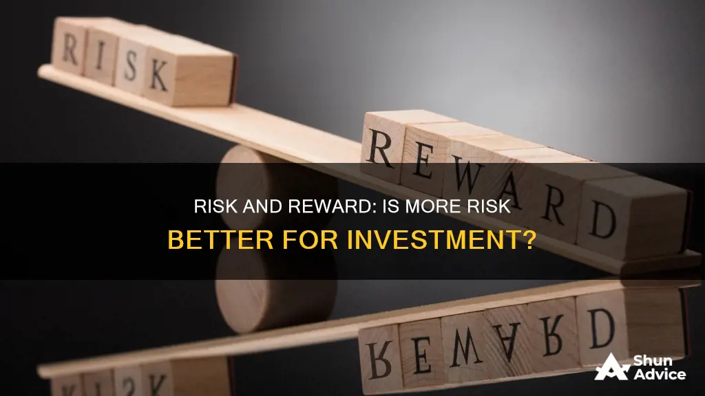 is more risk better for investment