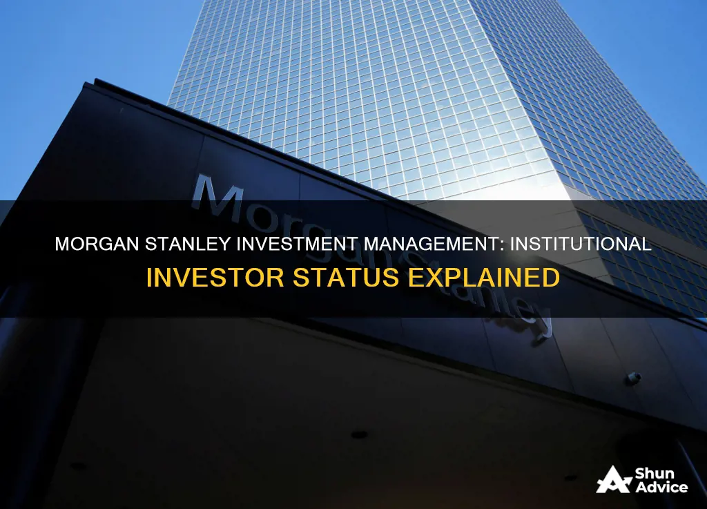 is morgan stanley investment management an institutional investor