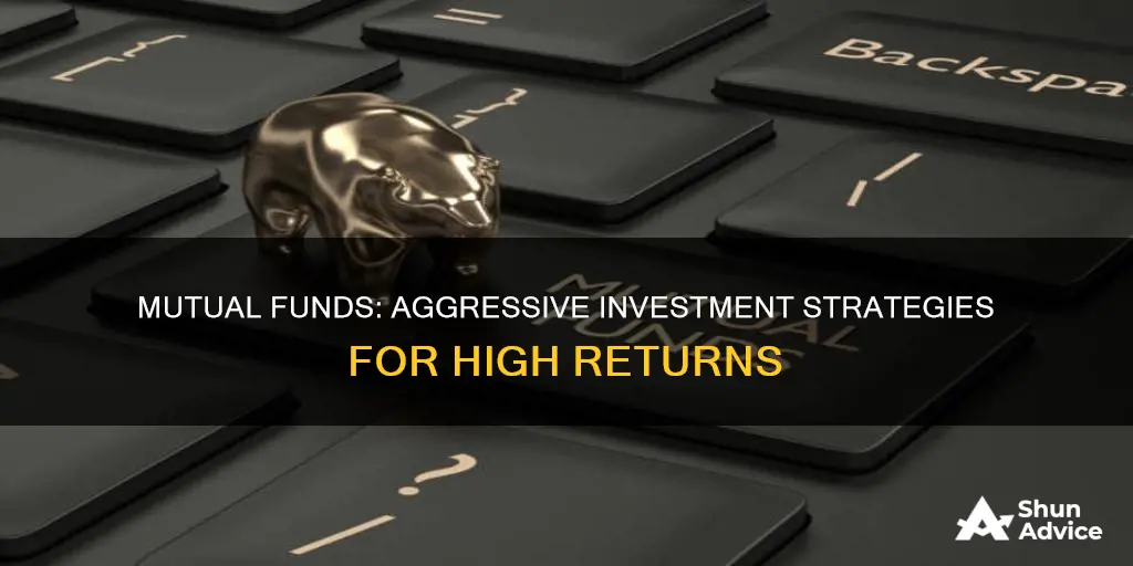 is mutual funds aggressive investment