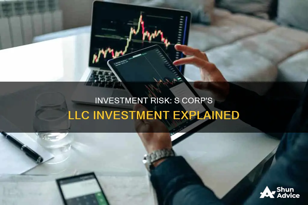 is my investment at risk s corp investing in llc