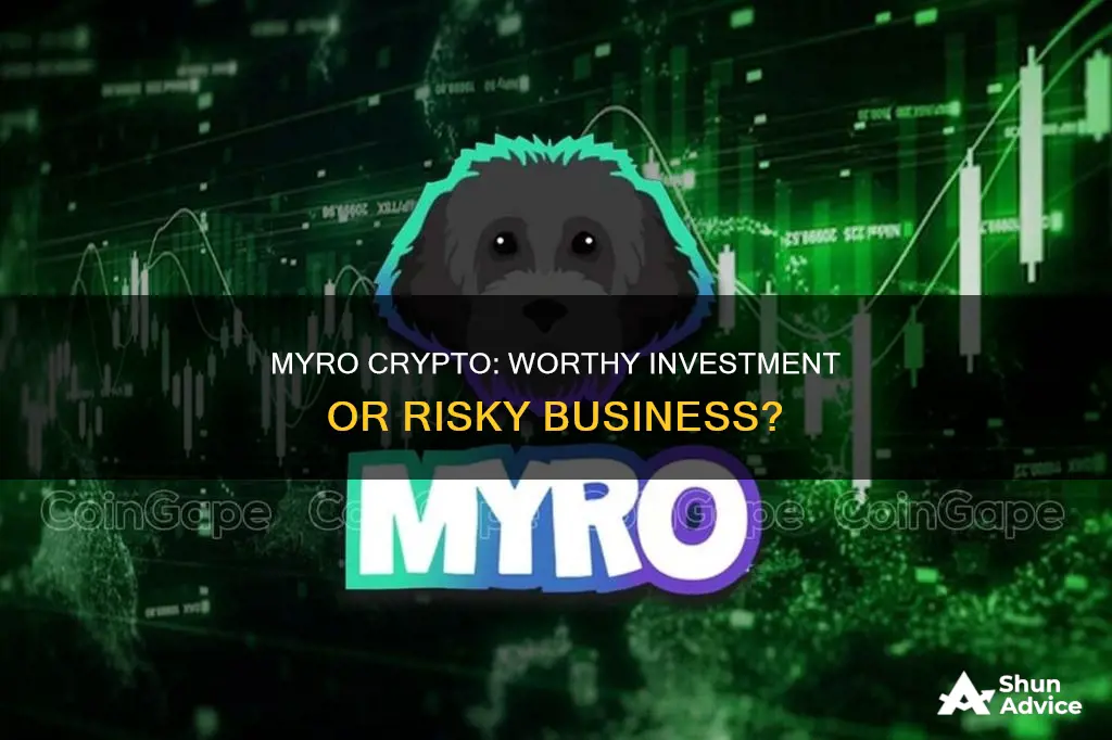 is myro crypto a good investment