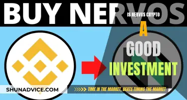 Nervos Crypto: A Smart Investment Decision?