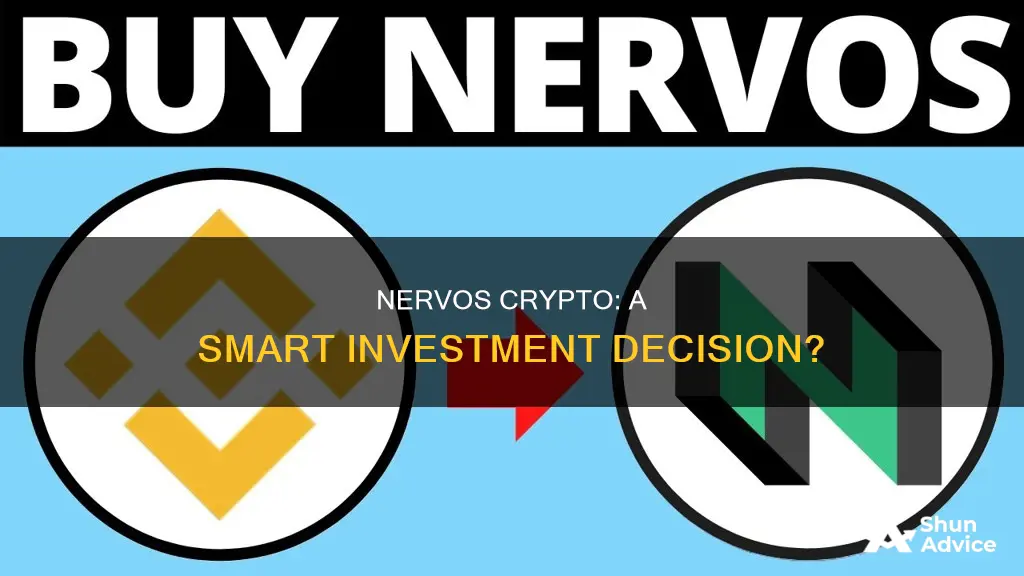 is nervos crypto a good investment