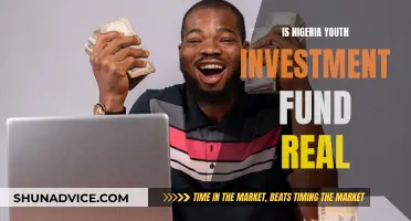 Nigerian Youth Investment Fund: Real or Scam?