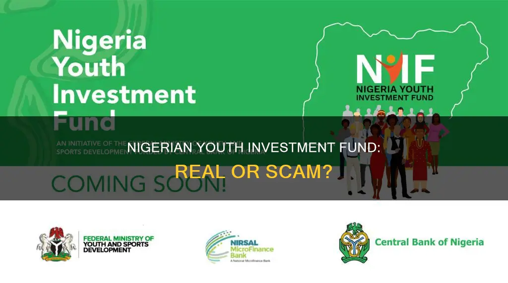 is nigeria youth investment fund real