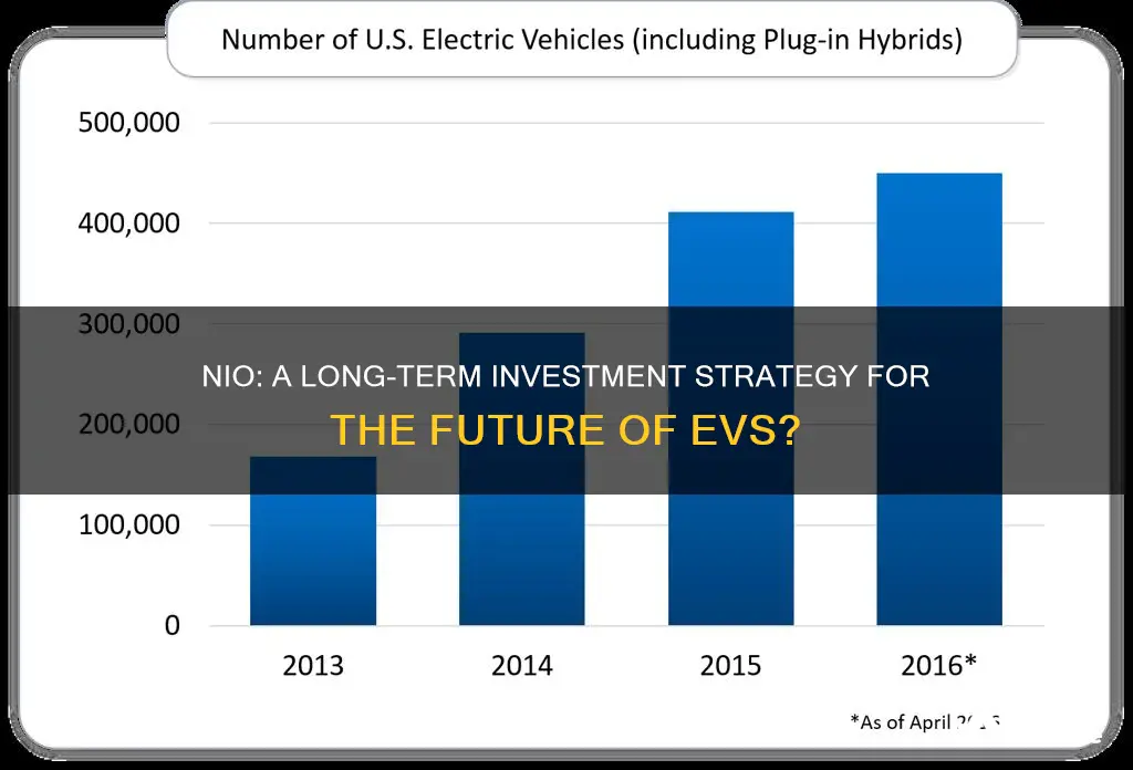 is nio a long term investment