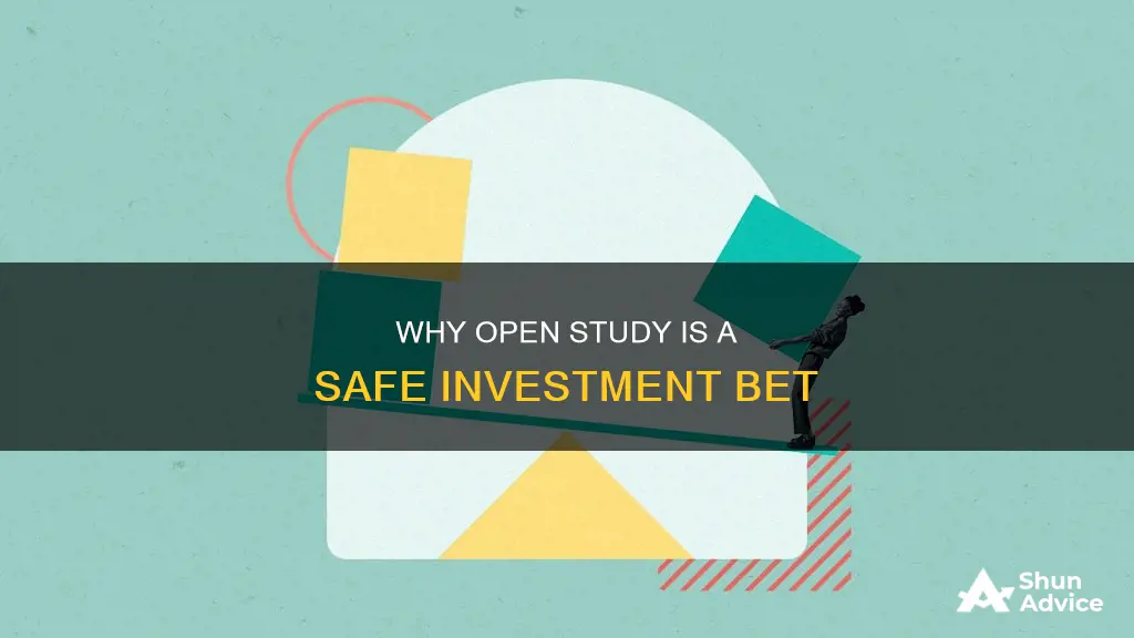 is not considered a high risk investment open study