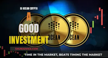 Ocean Crypto: A Smart Investment Move?