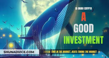 Ondo Crypto: A Worthy Investment?