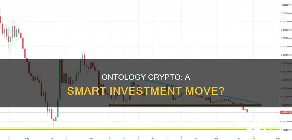 is ontology crypto a good investment