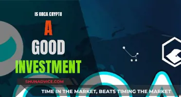 Orca Crypto: A Smart Investment Decision?