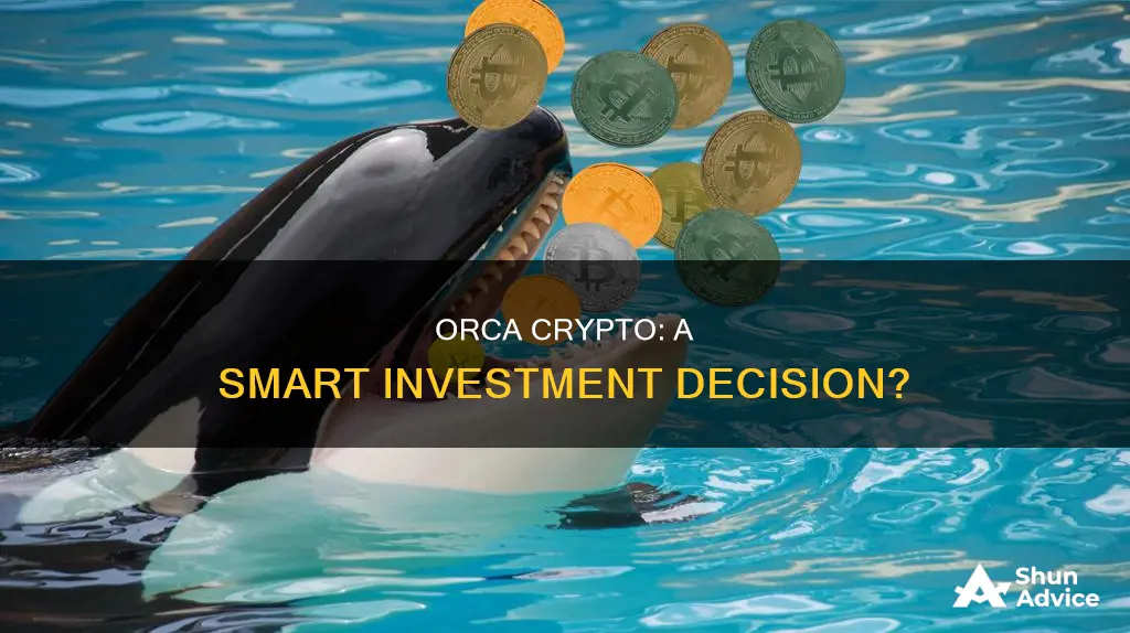 is orca crypto a good investment