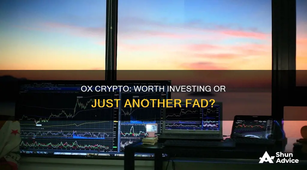 is ox crypto a good investment