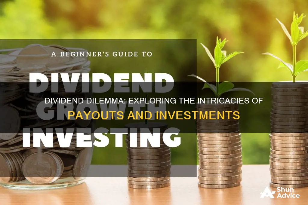 is paying dividends an investing activity