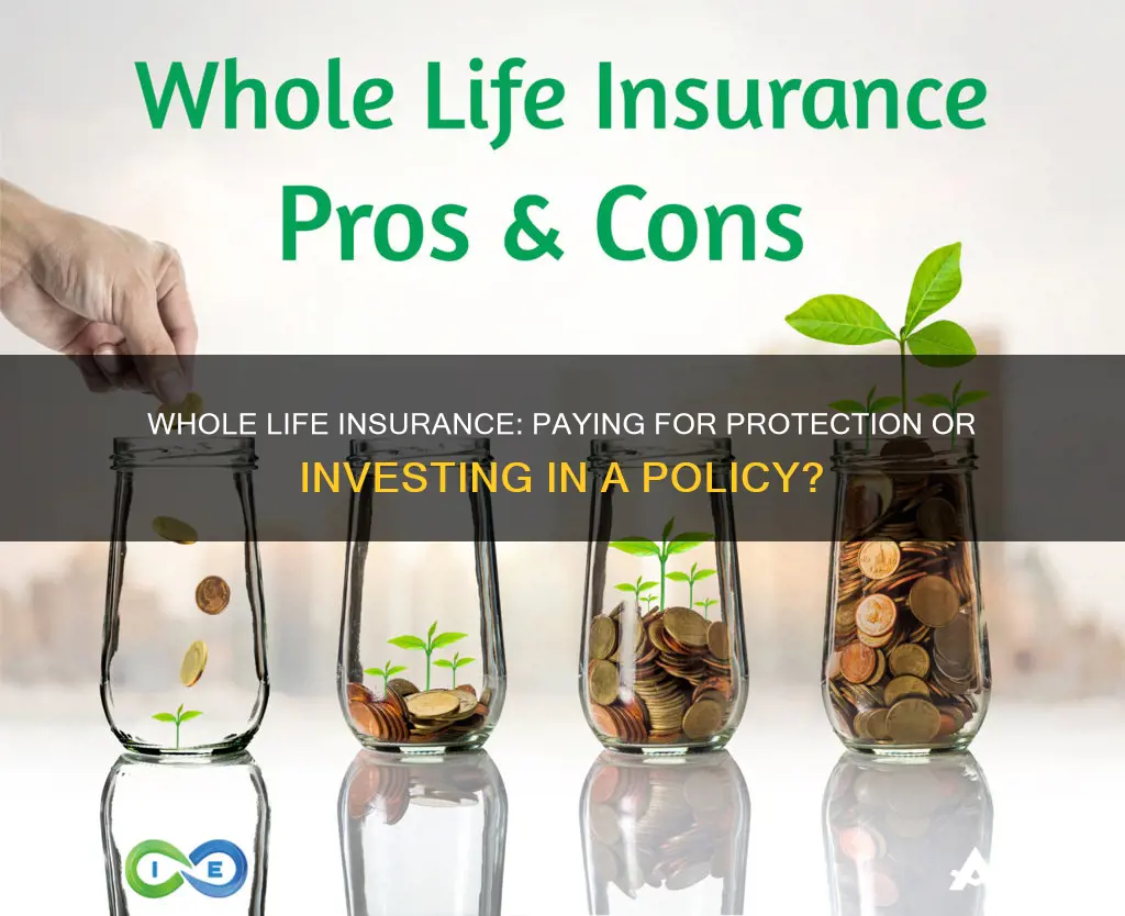 is paying for whole life insurance investment