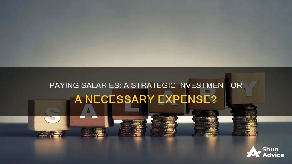 is paying salaries an investment activity