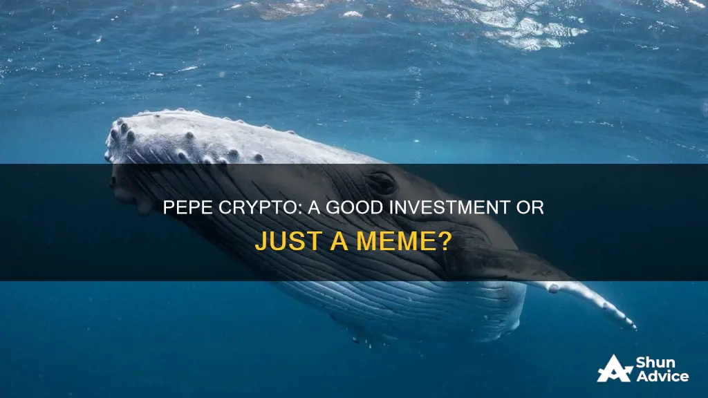 is pepe crypto a good investment