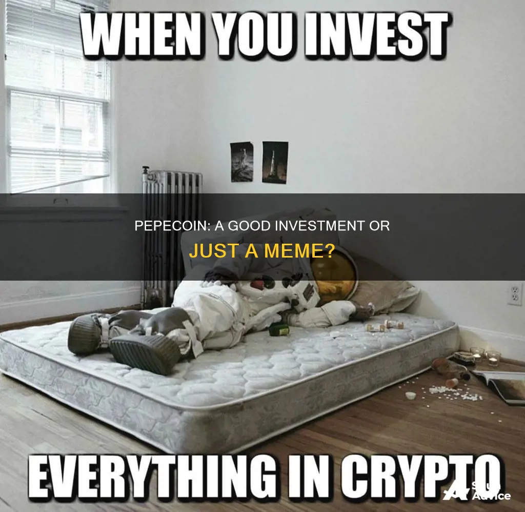 is pepecoin a good investment