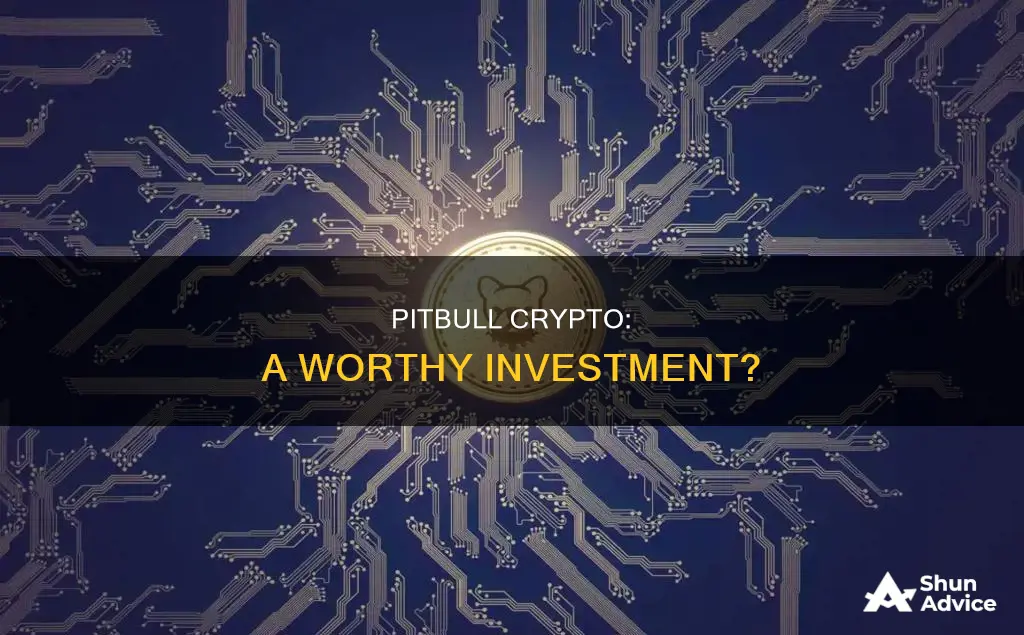 is pitbull crypto a good investment