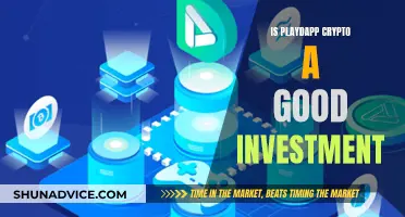 PlayDapp Crypto: Smart Investment or Risky Gamble?