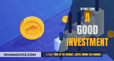 Poly Coin: A Smart Investment Decision?