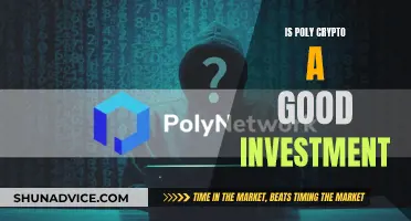 Poly Crypto: Smart Investment or Risky Business?