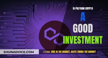 Polygon Crypto: Smart Investment or Risky Gamble?