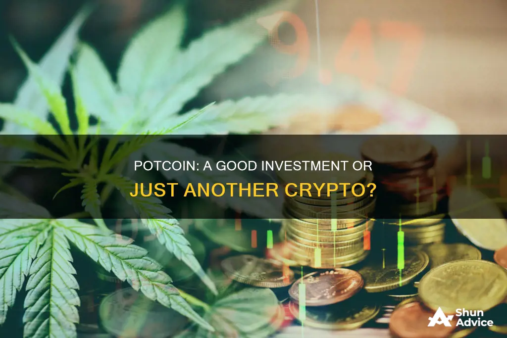 is potcoin a good investment