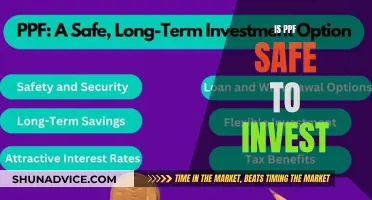 PPF: A Safe Investment Option or a Risk?