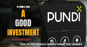 Pundi X Coin: A Smart Investment Decision?