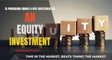 Shares: Debt or Equity Investment?