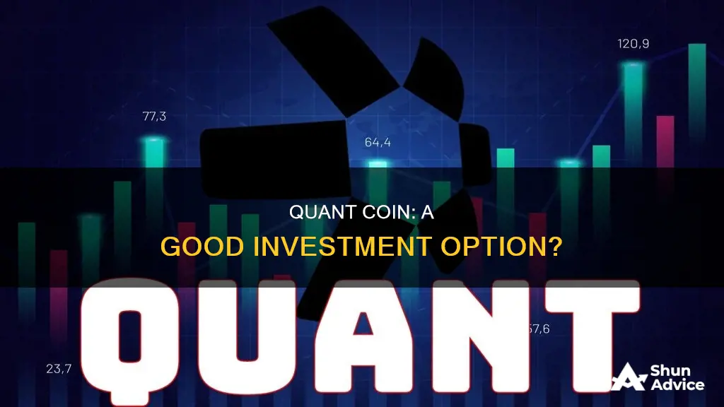 is quant coin a good investment