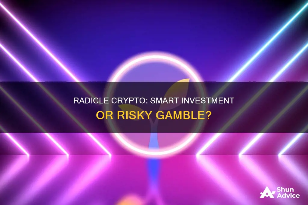 is radicle crypto a good investment