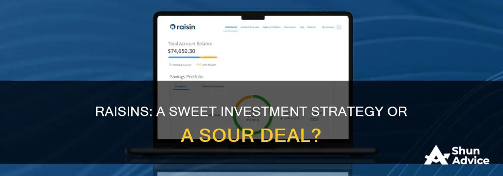 is raisin a safe way to invest