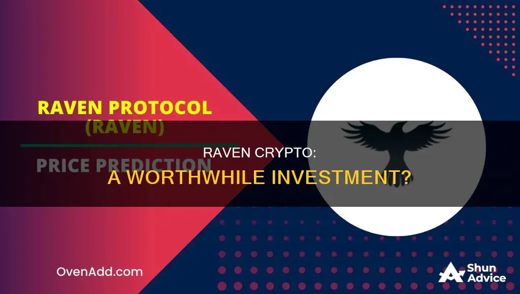 is raven crypto a good investment