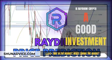 Raydium Crypto: Smart Investment or Risky Gamble?