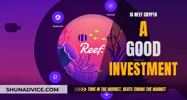 Reef Crypto: A Smart Investment Decision or Not?