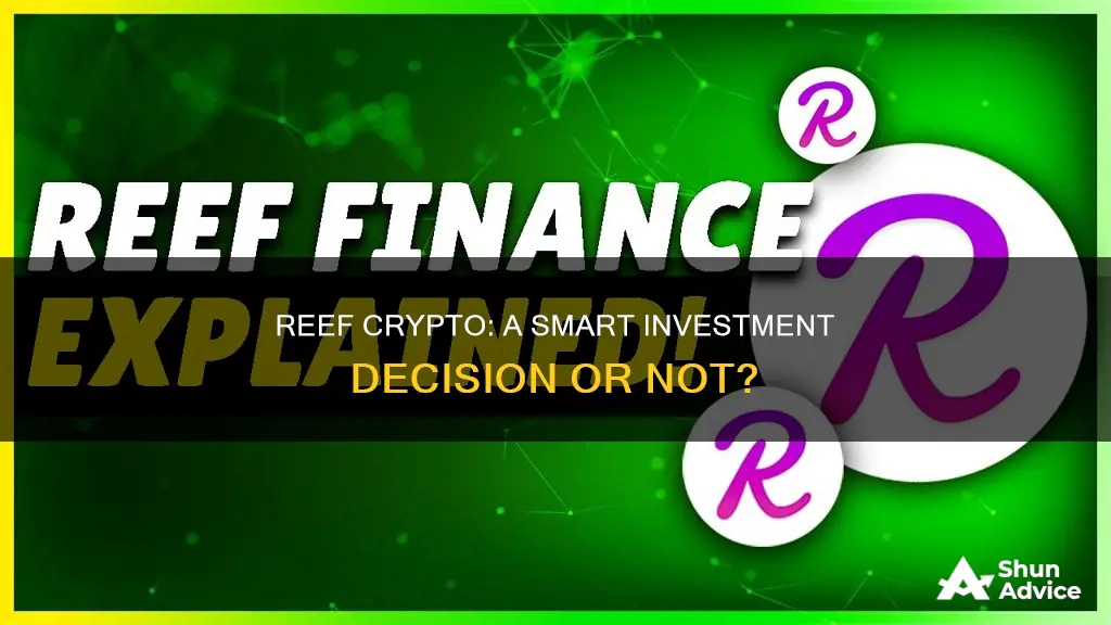 is reef crypto a good investment