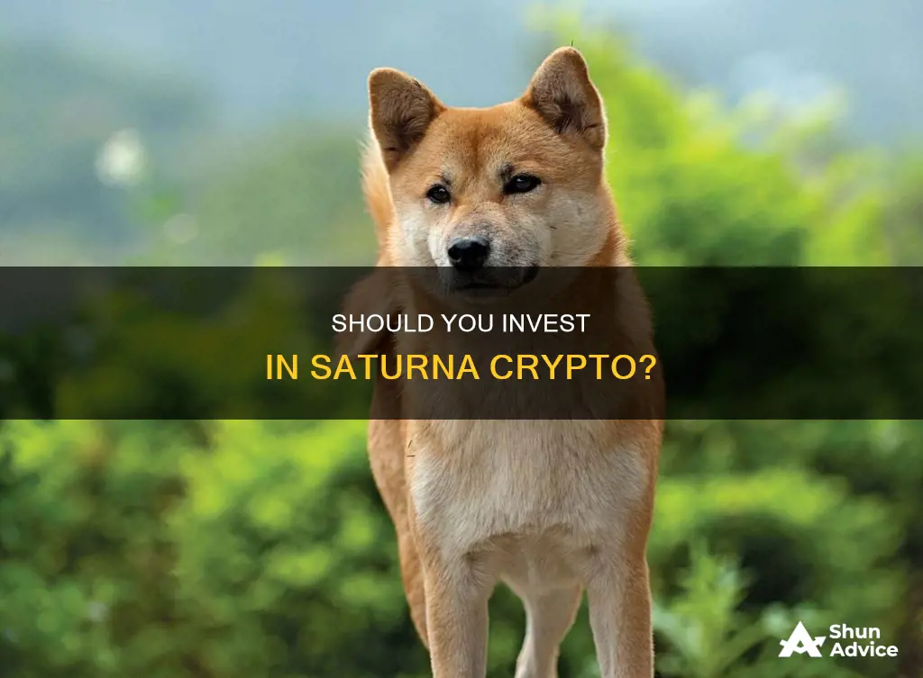 is saturna crypto a good investment