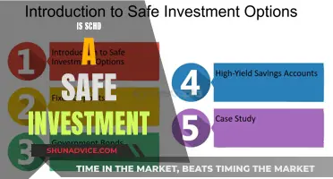 Is SCHD a Safe Investment? Unlocking the Truth