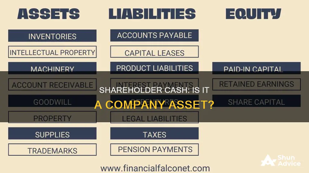 is shareholder invested cash an asset