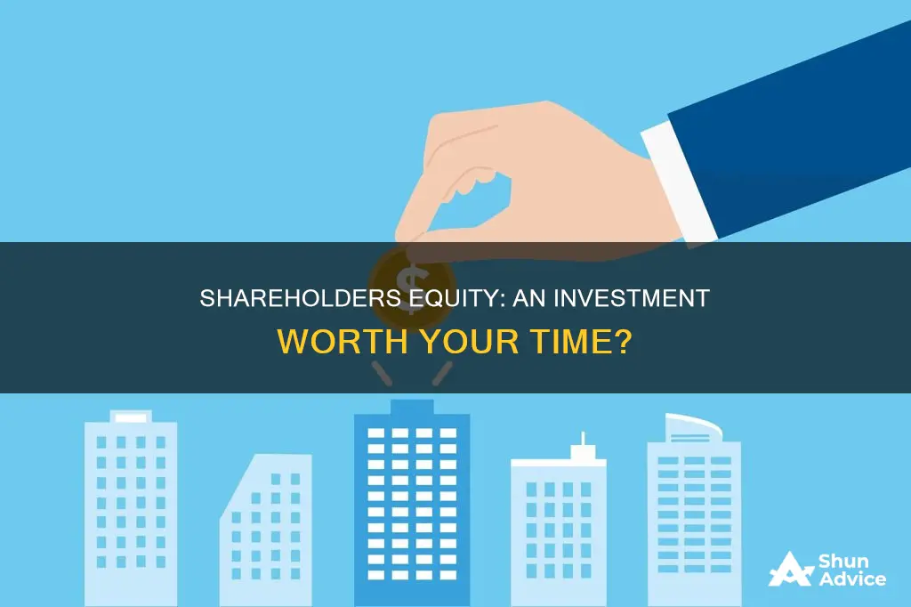 is shareholders equity an invest emt