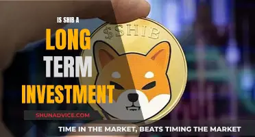 Shiba Inu: A Long-Term Investment Strategy?