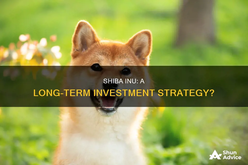 is shib a long term investment