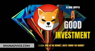 Shiba Inu Crypto: Worthy Investment or Risky Business?