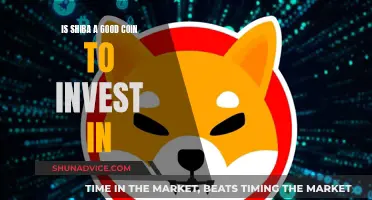 Shiba Inu Coin: Worthy Investment or Just Hype?